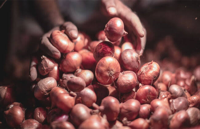 Onion price drops by Tk 40 per kg amid supply of newly harvested varieties