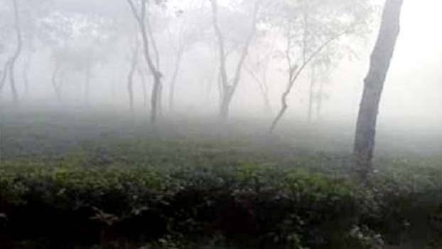 Sreemangal records lowest temperature in country