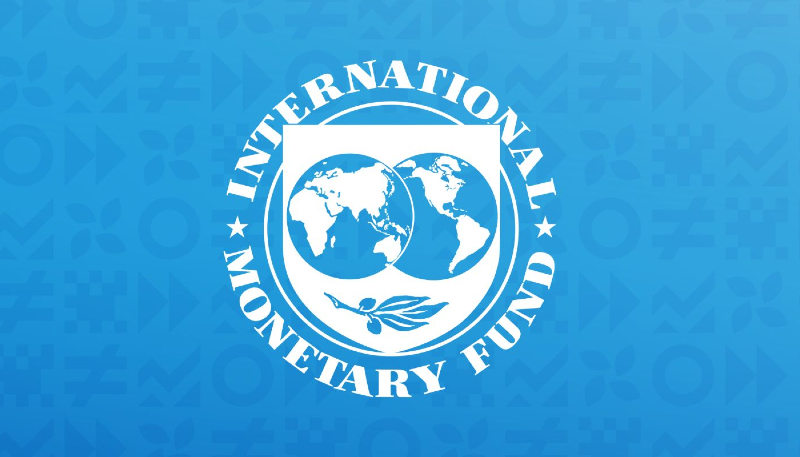 IMF asks about fate of rental power plants