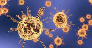 Two more test positive for coronavirus in Chattogram.