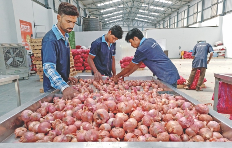 India may extend onion export ban