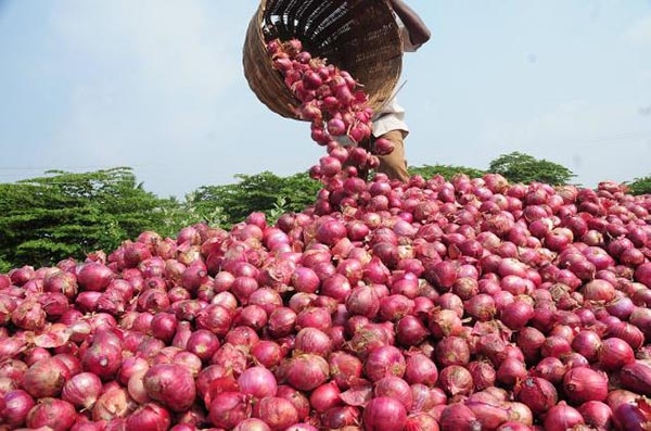 Govt sends monitoring teams on soaring onion prices