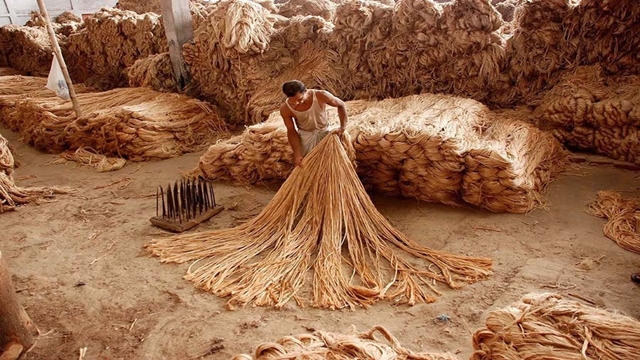 Jute exporters at EPZs seek cash incentive