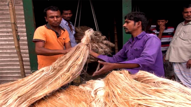 Low jute price frustrates Faridpur farmers