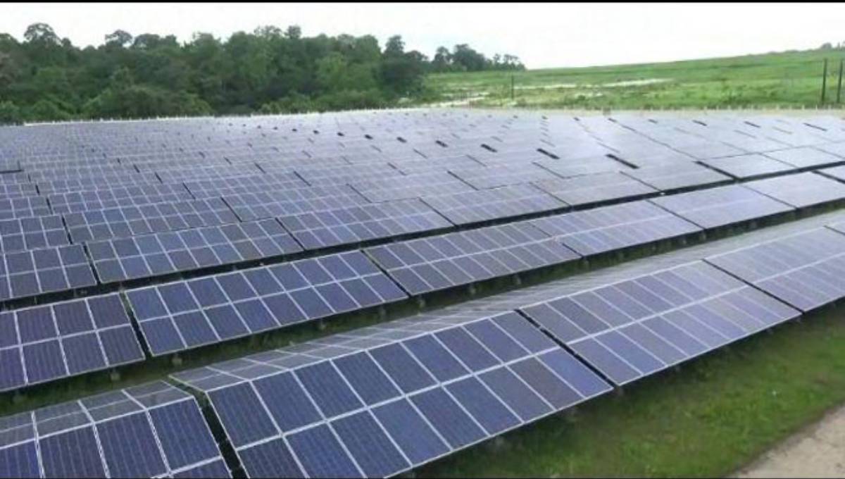 Kaptai solar power plant to be inaugurated today