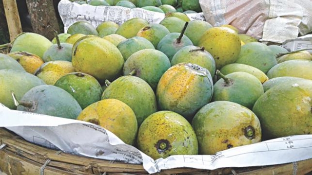 Khirsa mango to get GI tag soon