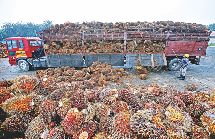 BD open to raising palm oil imports from Malaysia