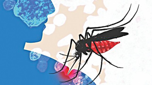Stay home, stay well: Beware of dengue
