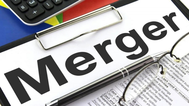 Experts see merger of sick banks, firms as a saviour