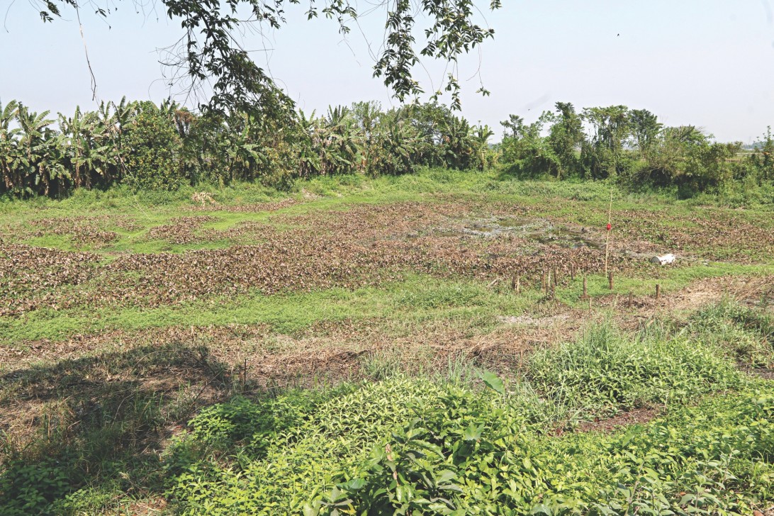 Natural reservoir runs dry