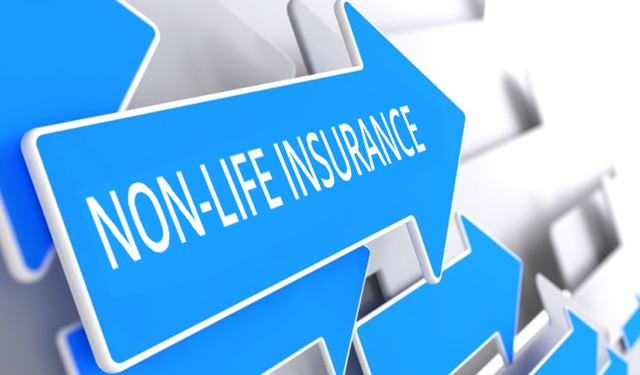 Non-life insurers must invest 7.5pc of assets in govt securities