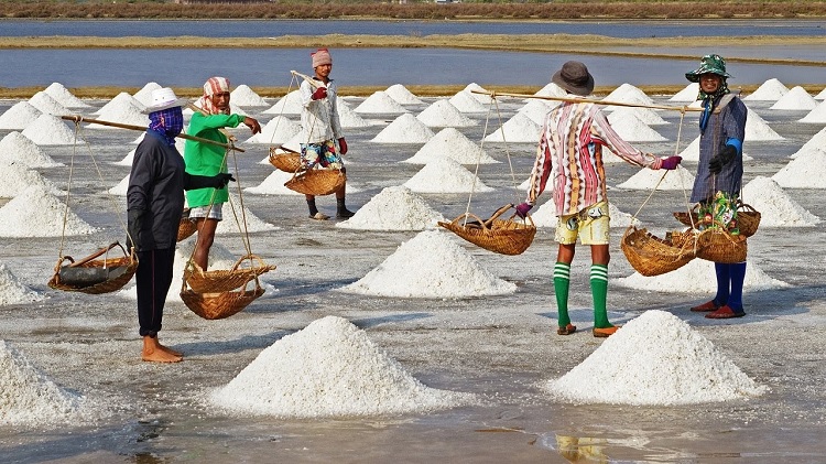 Salt production breaks 62-year record: BSCIC