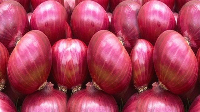 India moves to cap onion export by ‘tripling’ minimum price