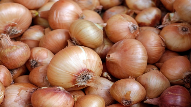 7,000-8,000 mts onion to arrive from Egypt by early Nov: Minister  