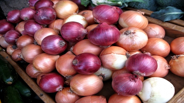 Govt sits with traders today as onion prices keep soaring