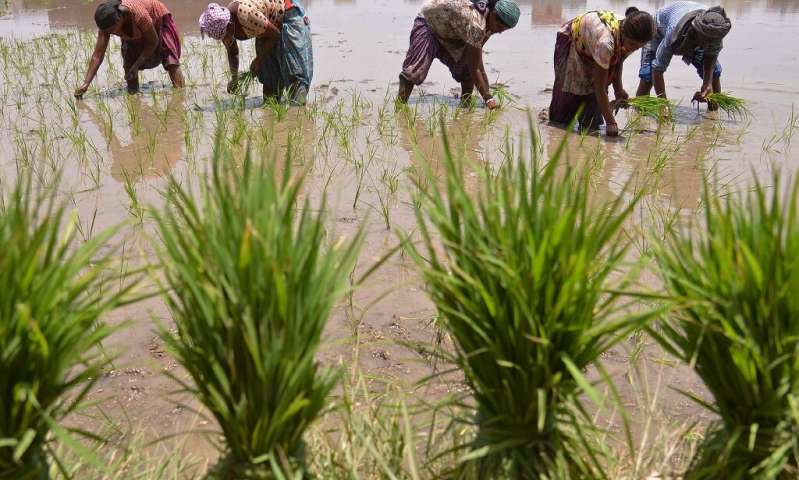 Groundwater pumping could ‘devastate’ river systems