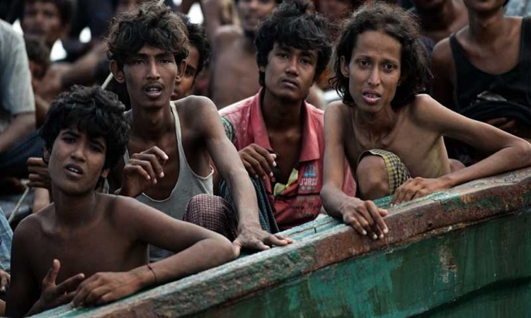 UN appeals for $877m for Rohingya refugee response in BD