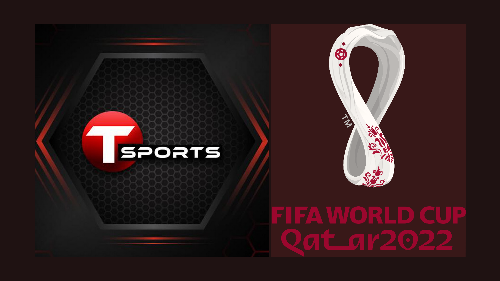 fifa world cup tv channel