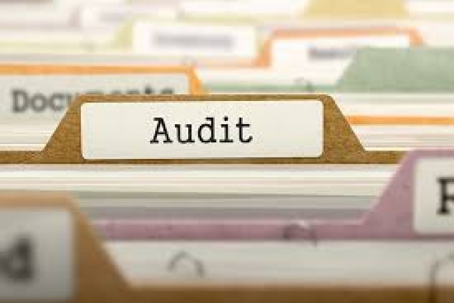 Large number of general audit objections nulled automatically