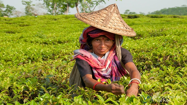 International Women's Day being observed